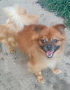 Grady