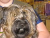Burlie
