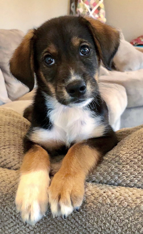Buster