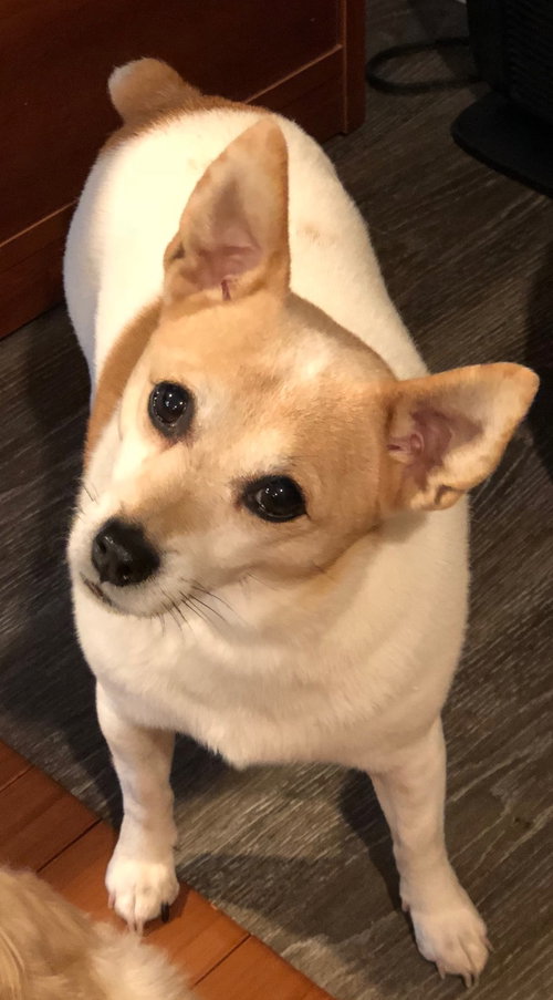 Lucy
