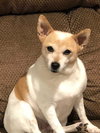 Lucy