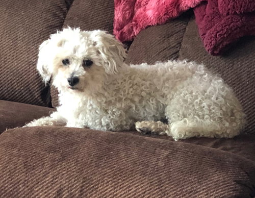 Rosie