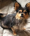 Roxy