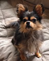 Roxy