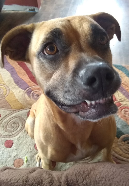 Zoey