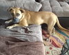 Zoey