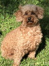 Annie