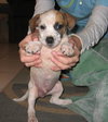 Spanky