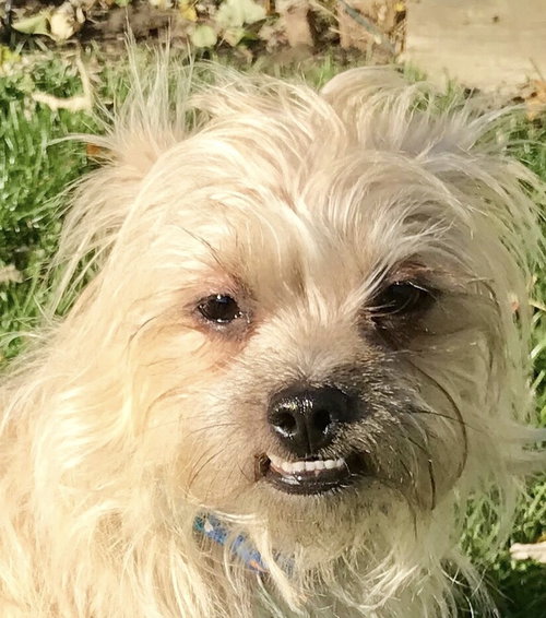 Charlie