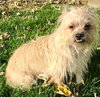 Charlie