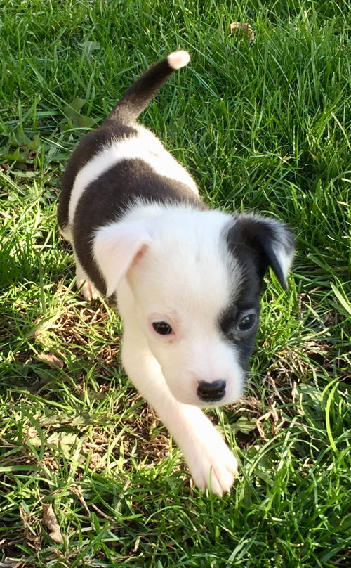 Zoey