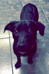 Missy