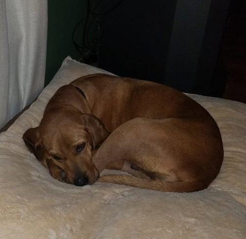 Bonnie