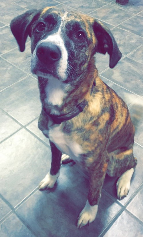Conrad