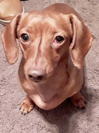 Chloe