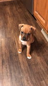 Mogley