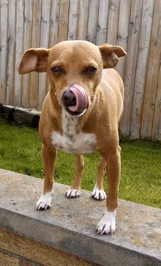 Milo