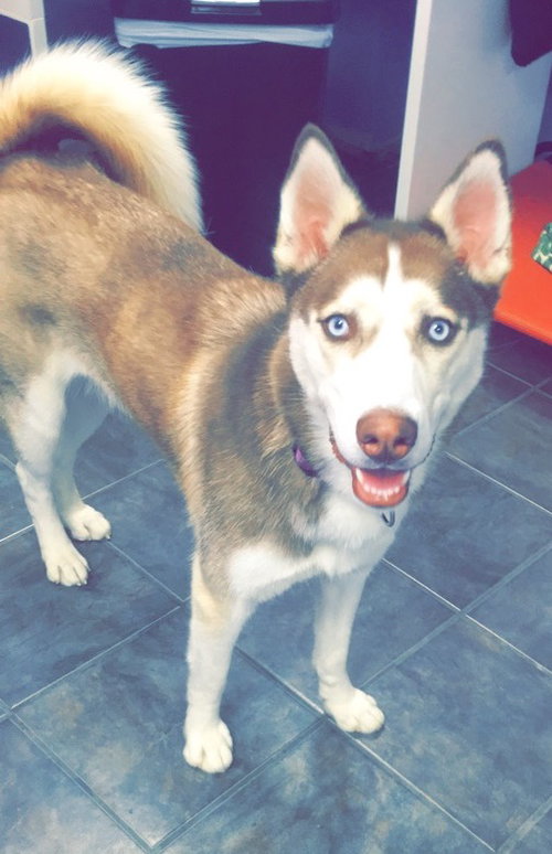 Cheyenne