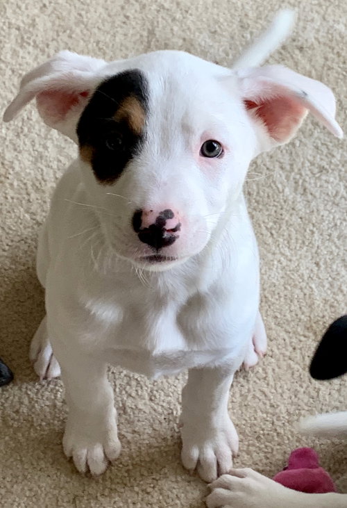 Chloe