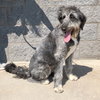 Shiloh