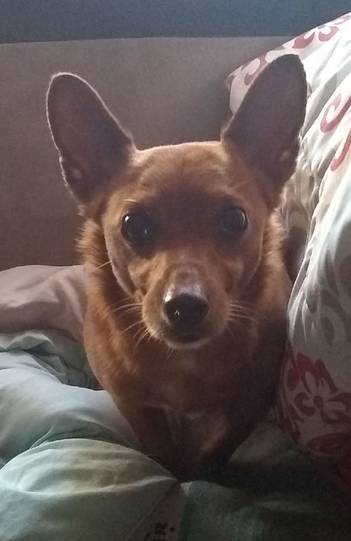Chili