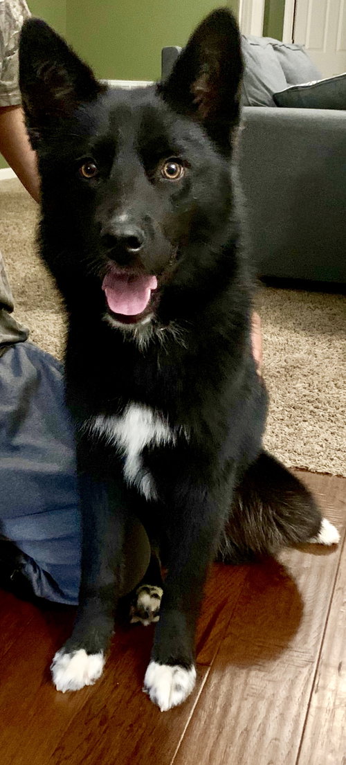 TJ