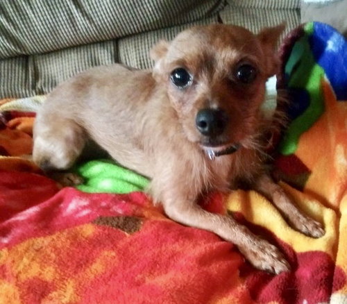 Tito
