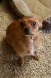 Tito