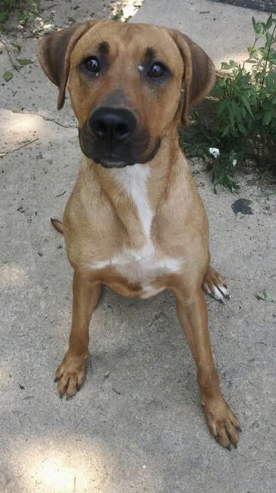 Roxy