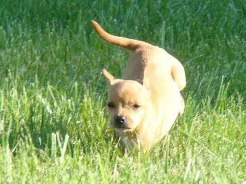 Lucy