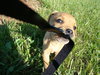 Lucy