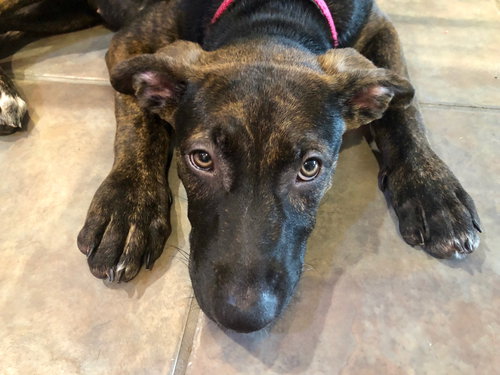 Luna
