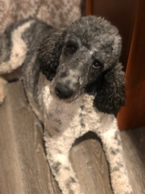 Darby