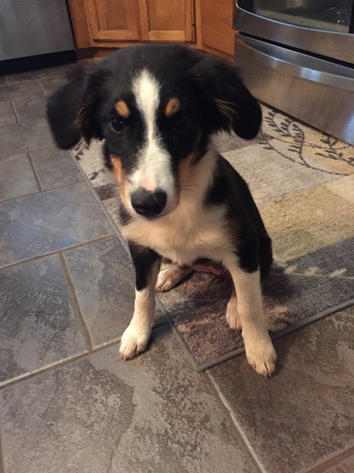Molly