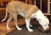 Roxie