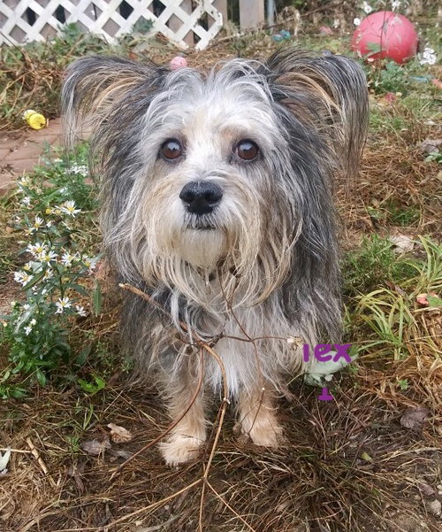 Tina