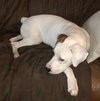 Charley