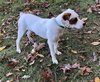 Charley