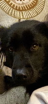 Lucy