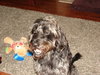 Sampson