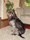 Sampson