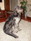 Sampson