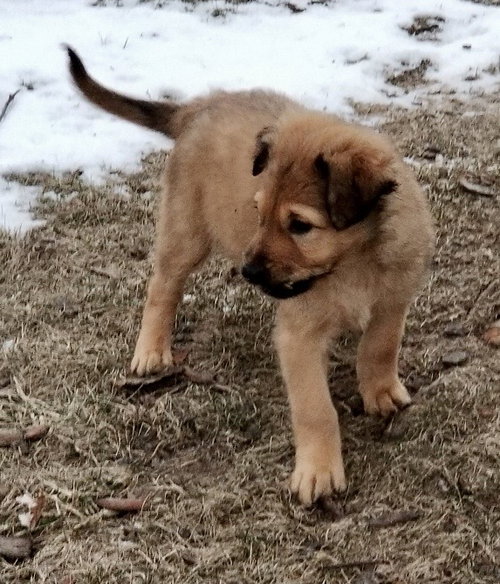 Delilah