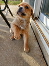 Tilly