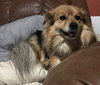 Sammie