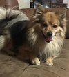 Sammie