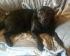 Tucker
