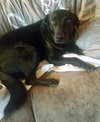 Tucker