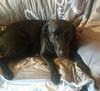 Tucker