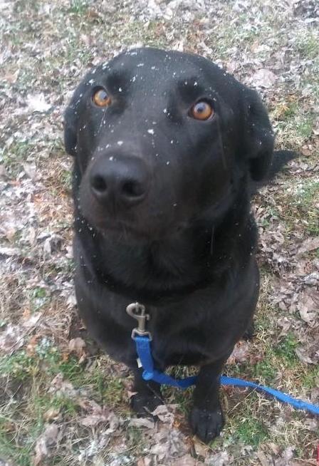 Tucker